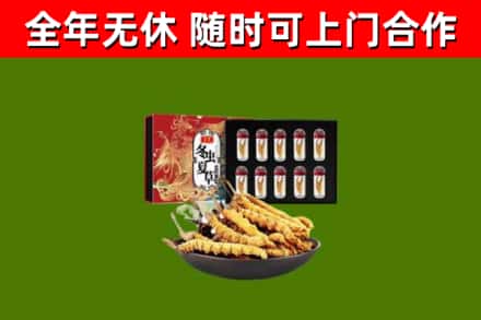 宁夏回收冬虫夏草价格